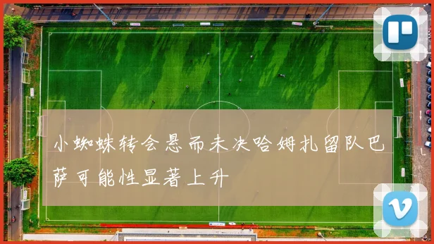 小蜘蛛转会悬而未决哈姆扎留队巴萨可能性显著上升